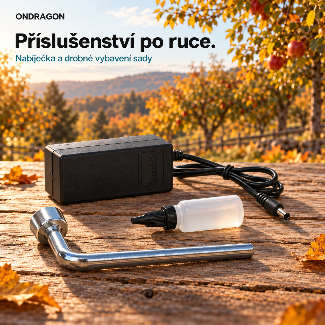 Nabíječka s kabelem, montážní klíč a olejová lahvička na dřevěné desce