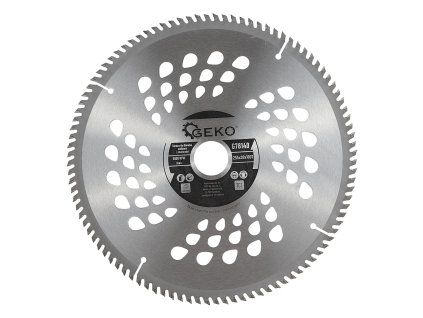 59856 kotouc na drevo 255x30x100t otvory 25