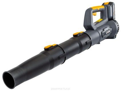 large 1
