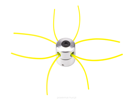 large 1