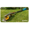 106686 14 big wys 4