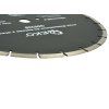56193 2 diamantovy kotouc na beton 350 mm x 25 4 mm s pridavnym otvorem 10