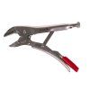 58938 6 kleste morse rovne celisti 250 mm crv 6 48