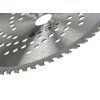 59742 1 kotouc na drevo 180x20x60t otvory 50