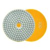 60990 lestici kotouc pro mokre brouseni dlazby 100 mm gr100 5 250