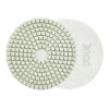 61005 lestici kotouc pro mokre brouseni dlazdic 100 mm gr3000 5 25 250