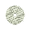61005 1 lestici kotouc pro mokre brouseni dlazdic 100 mm gr3000 5 25 250