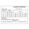 61884 1 momentovy klic 1 4 5 25 nm profesionalni tvardy 25