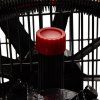 64134 12 72570 12 olejovy kompresor 100 l 230 v kd1472 separator