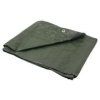 65256 2 plachta 6x10 m silna zelena 3