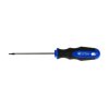 71523 sroubovak torx t5x75 mm geko 10 100