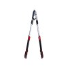 71739 2 teleskopicke nuzky na vetve s prevodovkou a protilehlym ostrim 730 970 mm 65mn ptfe 6 12