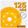 127107 13 diamantovy hrncovy brusny kotouc 125mm pm dtg 1253t