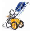 big 7